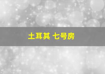 土耳其 七号房